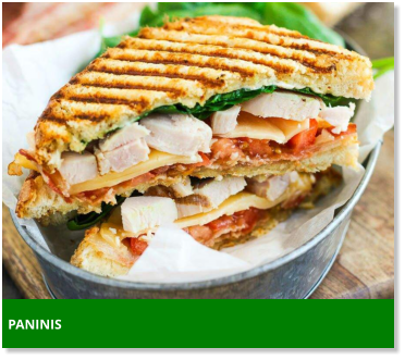 PANINIS
